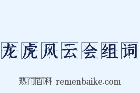 龙虎风云会组词是什么意思的图片